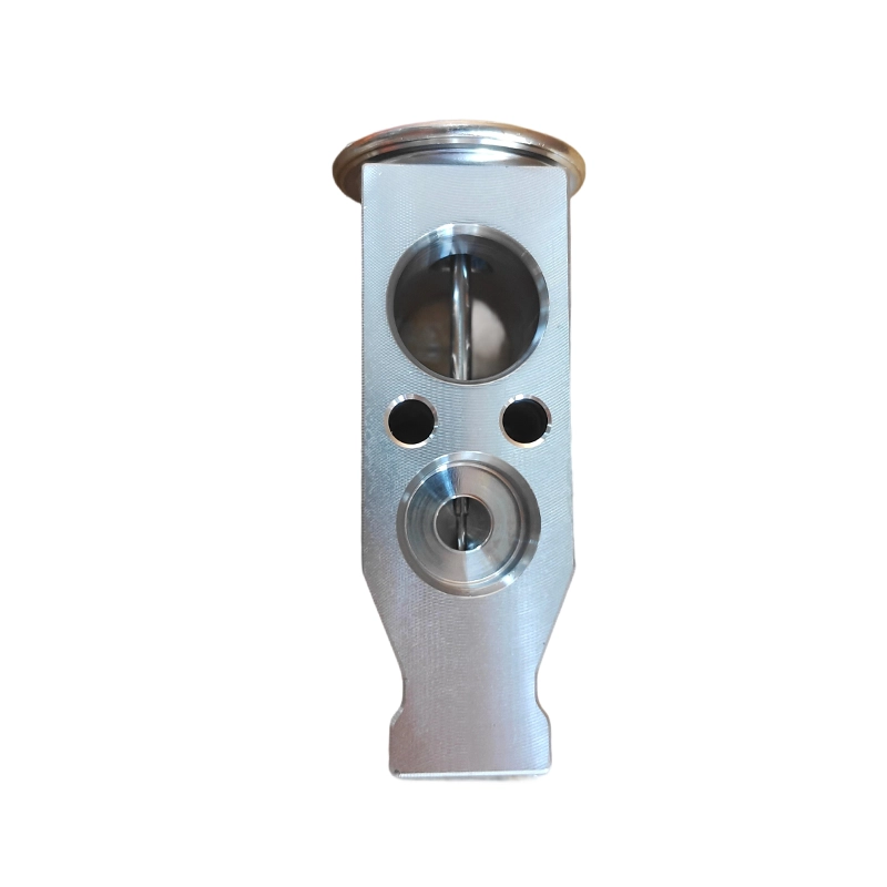 8106000A-P00 AC Expansion Valve for GWM Wingle Haval H3 H5 H6